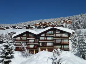 Image of Charming studio cabin 4 persons- near the slopes, clear view