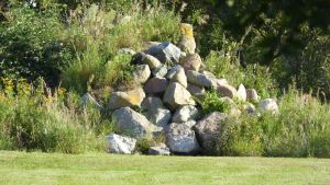 Image of Gut-Rattelvitz-Galerie-E-hochwertig-Sauna-Kamin-eTankstelle-Spielscheune-15-000qm-Park-Land