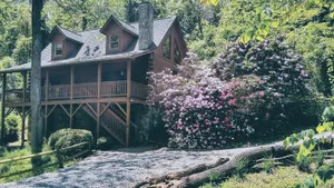 Image of Beautiful Acorn Cabin, 10 min from Asheville