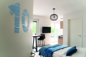 Image of Penthouse apartment no. 10 on the 2nd floor on the right (garden view, large roof terrace)