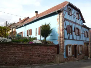 Image of Cottage 8 to 11 people nearby Obernai