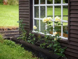 Image of Holiday Home in Lavacherie With Terrace