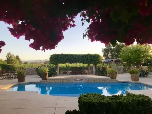 Image of Large poolside King suite with private entrance