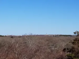 Image of Secluded Home abutting Bird Sanctuary with Duel Zone Central A\/C