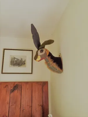 Image of Cosy Self Contained Barn Annexe at foot of the Blackdown Hills