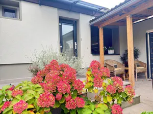 Image of Süßes Gästehäuschen in 1A Lage