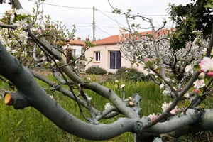 Image of Le Pavillon: Holidays and Hikes, Thermal Cures, Heritage and Festivals