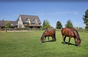 Image of Buitenplaats Welsdael 2