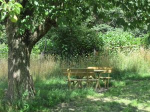 Image of Uckermark - vacation home at the Grumsin World Heritage Site (family-friendly)