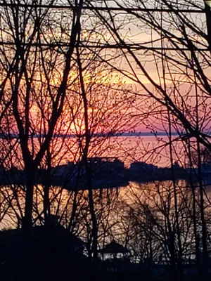 Image of Beautiful view of the water