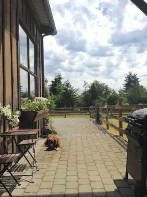 Image of 40 Acres Estate, Beach Access, Pet Friendly: Wildwood Studio