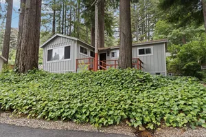 Image of Mavrik - Cain Masoods Lodge