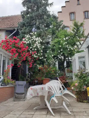 Image of F1 type studio between Strasbourg and Colmar on the wine route.