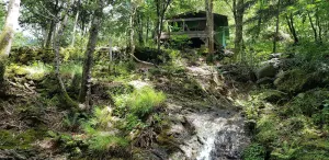 Image of a hidden hut with a terrace overlooking the forest