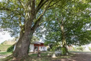 Image of L'atelier - Taller - Gîte