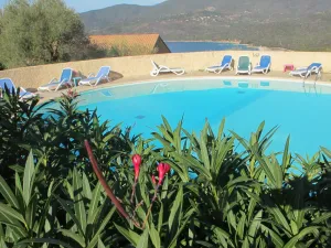 Image of Mini villa with small sea view, heated pool Serra di Ferro