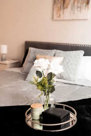 Image of Stylish Lux 1BR Near NRG, Med Ctr & Rice U