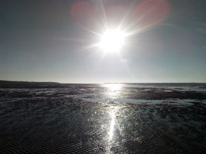 Image of House 6 persons near sea in La Tremblade