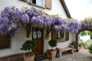 Image of Charming house with private pool 4 ⭐️