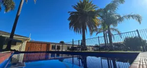 Image of Albatross Motor Inn