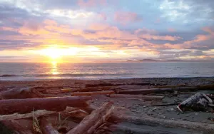 Image of Deception Pass Getaway-Level Sandy Beachfront! Resident Eagles & Huge Fire Pit!