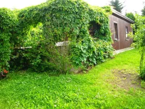 Image of Ferienhaus Am Graseberg