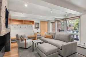 Image of Contemporary Condo in Aspen Core
