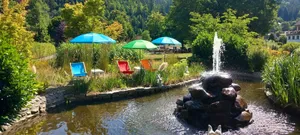 Image of Family vacation & outdoor pool & national park.