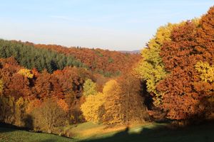 Image of Affordable vacation apartment with sauna in a quiet location near the forest. 4 DTV*