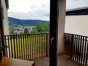 Image of The DRYADES Mountain view