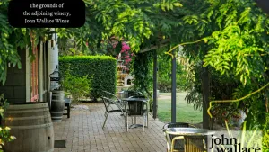 Image of Palmers Lane Vineyard Estate
