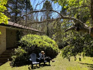 Image of Zelma's Cottage - Leura Escape