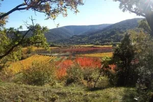 Image of Brand new gite in an authentic Provencal Mas, in south Ventoux