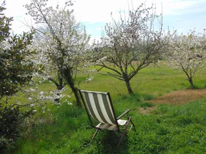 Image of Treat yourself to a sublime escape in the pretty little village of Faudoas.