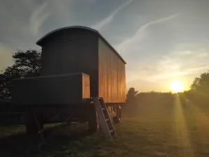 Image of Shepherd's Hut set in private meadow