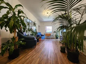 Image of Manly Jungle Beach Oasis
