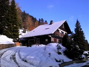 Image of 3-room apartment in \"Les Pommes de Pin\" chalet, with terrace and garden