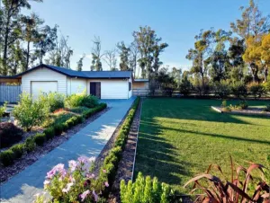 Image of The Cosy Cottage