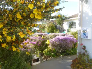 Image of Coastal, Beach, Nature,   2 Econo Rooms, 2 Private Baths.  Sleeps,   4. Namaste