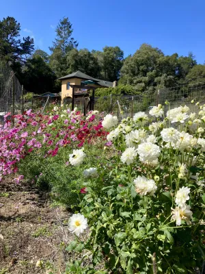 Image of Peaceful Corralitos Farm Retreat! Free Monterey Bay Aquarium tickets included.