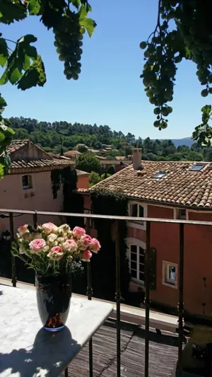 Image of La Dame Au Balcon