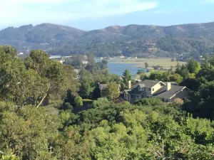 Image of Cozy Studio In The Hills Of Mill Valley.