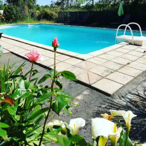 Image of La fontenelle furnished rental with swimming pool in the heart of Cognac vineyards