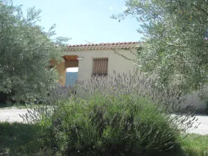 Image of GITE RAISIN side VENTOUX **
