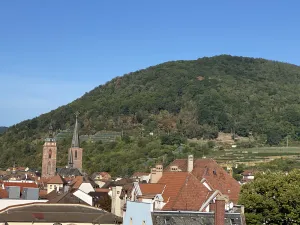 Image of Modernes City-Appartement