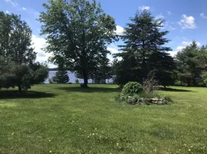 Image of Pebble Beach Lake Michigamme