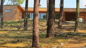 Image of Contemporary house with spectacular view of the forest