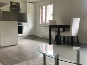 Image of BEAUTIFUL DUPLEX APARTMENT IN THE COUNTRYSIDE 3KM FROM DELEMONT