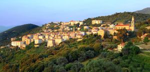Image of MYRTE sea and mountain view, garden level