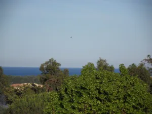 Image of Bas de Villa and its private area close to beaches and rivers